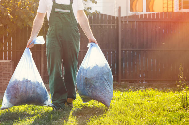 Best Dumpster Rental Services  in Niagara Falls, NY